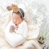 画像471